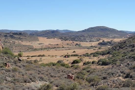 Ploughing of Namaqualand upland areas clears these ecosystems of productive perennial plants.